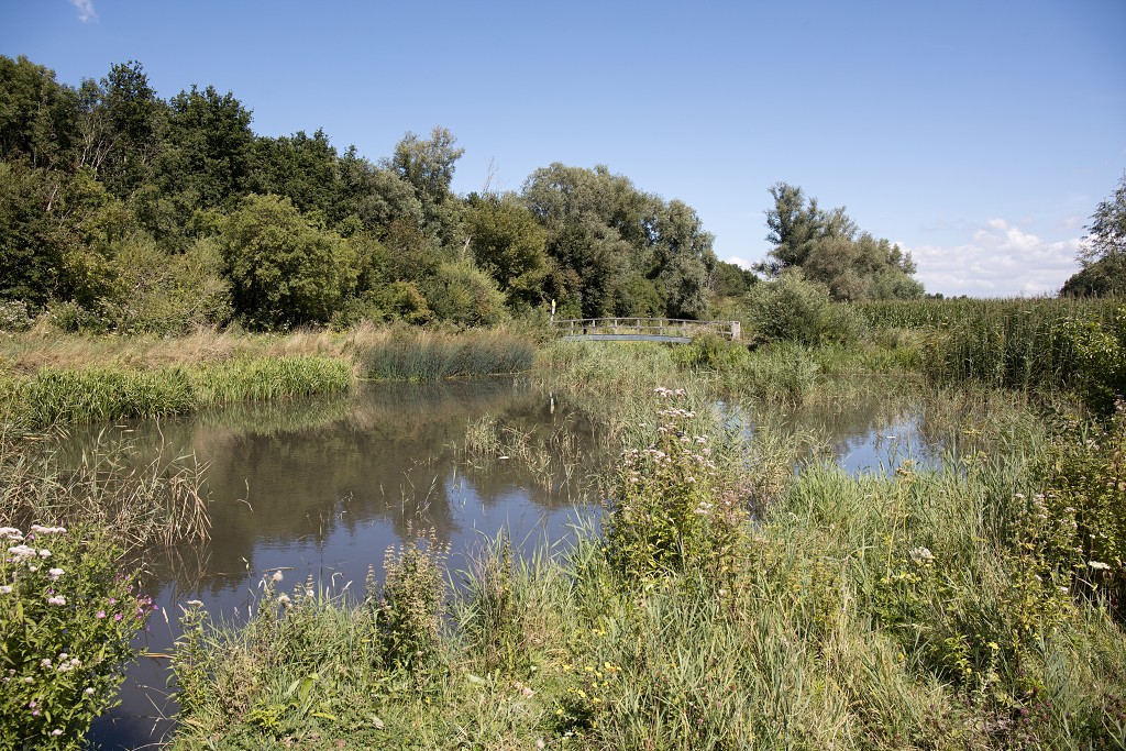 sint Annabos polderbos annapolder natuurgebied natuurmonumenten hdr rockanje voorne putten bos wandelroute polder oostvoorne